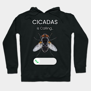 "Cicadas is Calling - Fantastic Realism Fly Hoodie